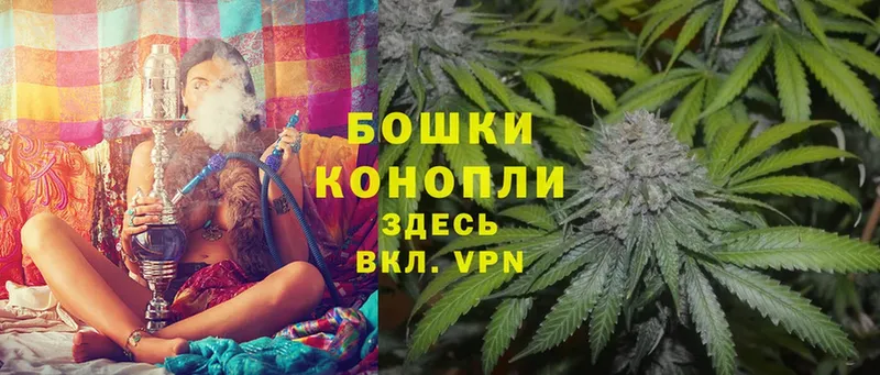 дарнет шоп  Княгинино  Бошки Шишки OG Kush 